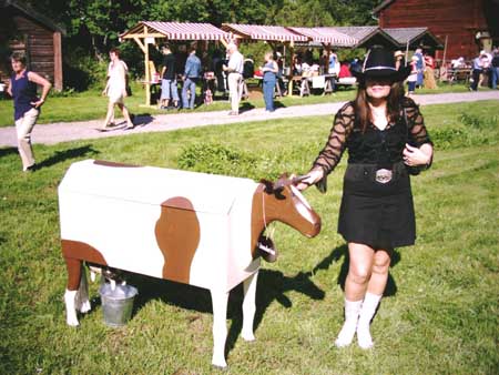 Stundars Country Festaival
