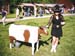 Stundars Country Festaival